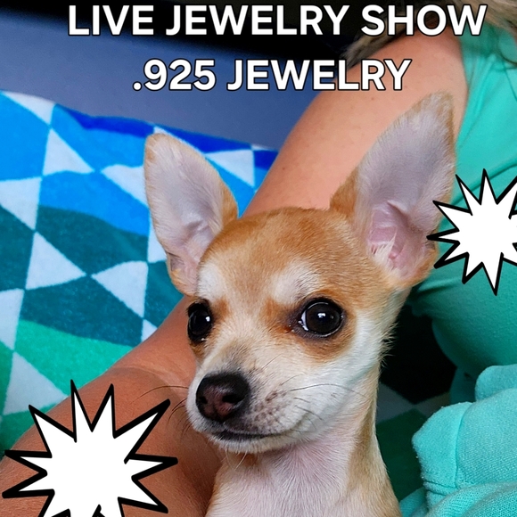 LIVE STERLING SILVER JEWELRY SHOW - Picture 1 of 1